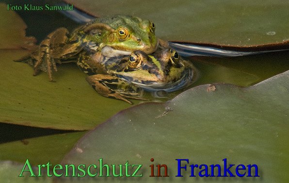 Copyright AiS-Klaus Sanwald Bild zum Eintrag (46394-160)