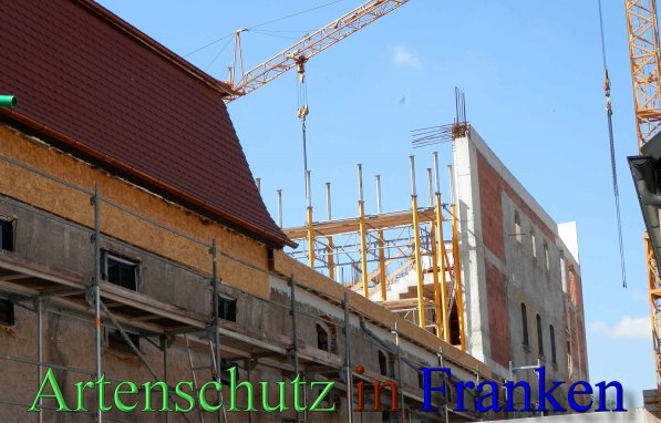 Copyright AiS- Albert Meier Bild zum Eintrag (46396-160)