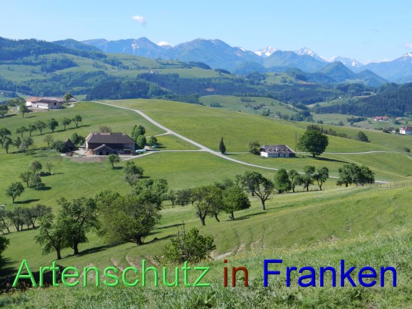 Copyright AiS - Mitterhuber Bild zum Eintrag (46526-160)