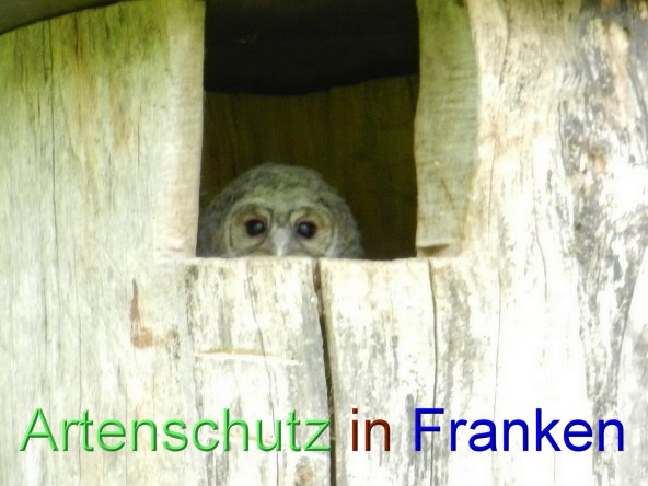 Bild zum Eintrag (46528-160)