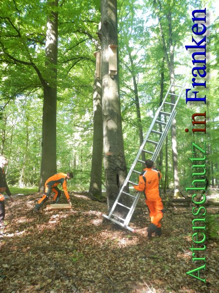Bild zum Eintrag (46653-160)