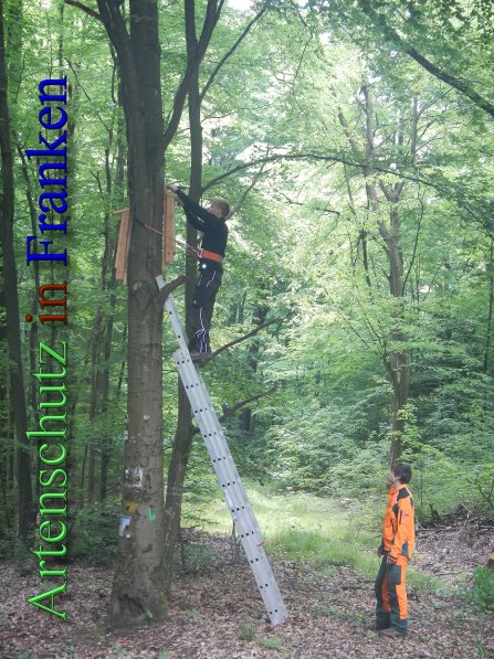 Bild zum Eintrag (46661-160)