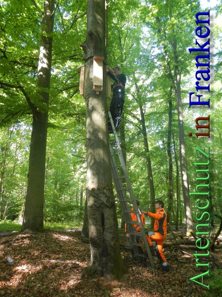 Bild zum Eintrag (46677-160)