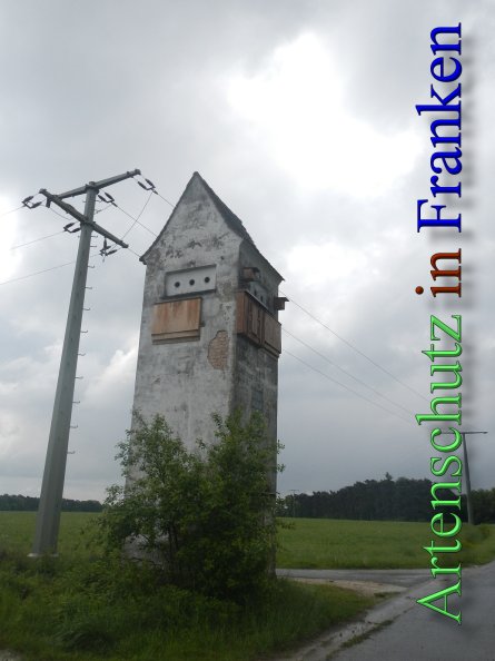 Bild zum Eintrag (46738-160)
