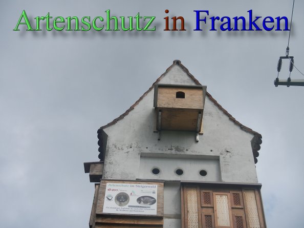 Bild zum Eintrag (46739-160)
