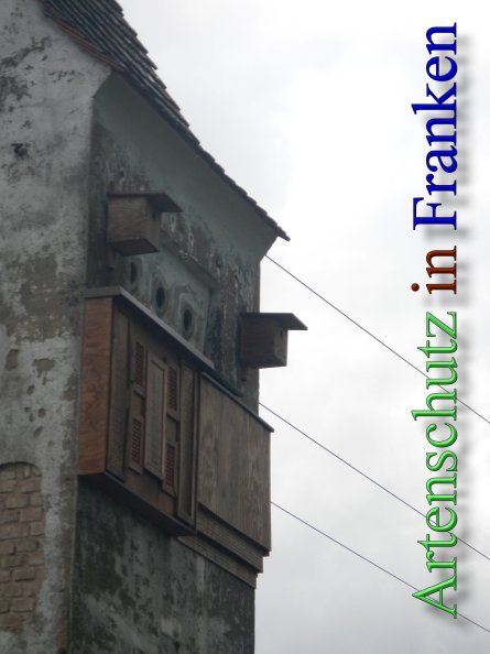 Bild zum Eintrag (46740-160)