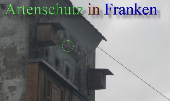 Bild zum Eintrag (46741-160)