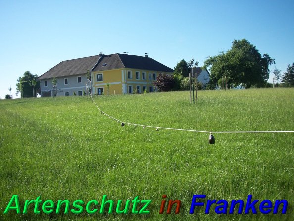 Copyright AiS - Mitterhuber Bild zum Eintrag (46868-160)