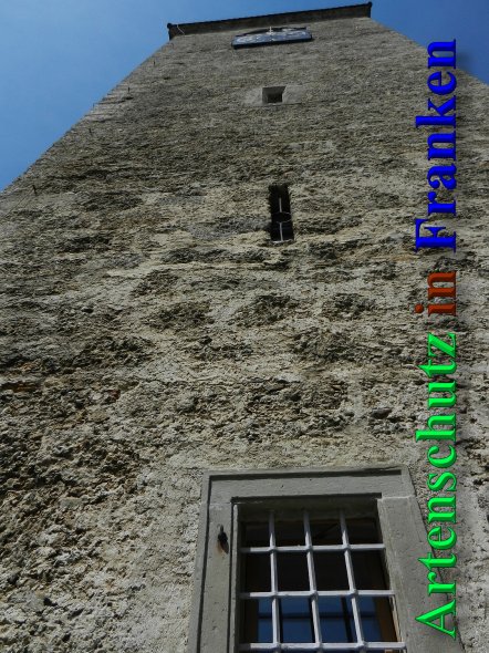 Copyright AiS - Mitterhuber Bild zum Eintrag (46930-160)
