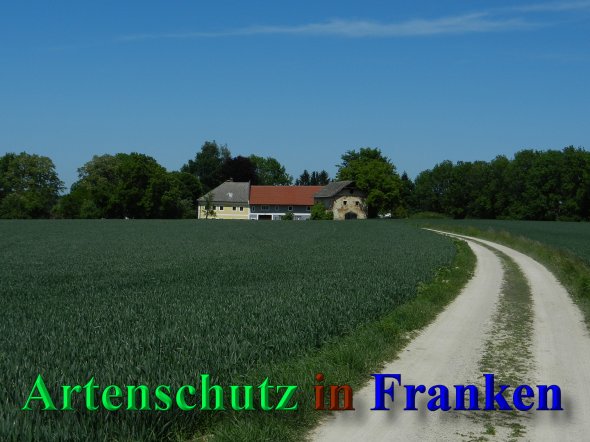 Copyright AiS - Mitterhuber Bild zum Eintrag (46934-160)