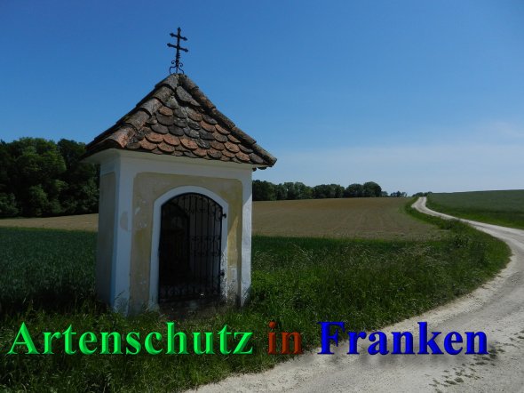 Copyright AiS - Mitterhuber Bild zum Eintrag (46935-160)