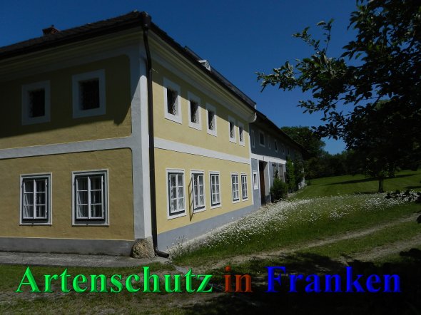 Copyright AiS - Mitterhuber Bild zum Eintrag (46936-160)