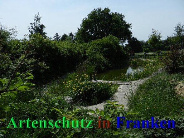 Copyright AiS - Mitterhuber Bild zum Eintrag (46940-160)