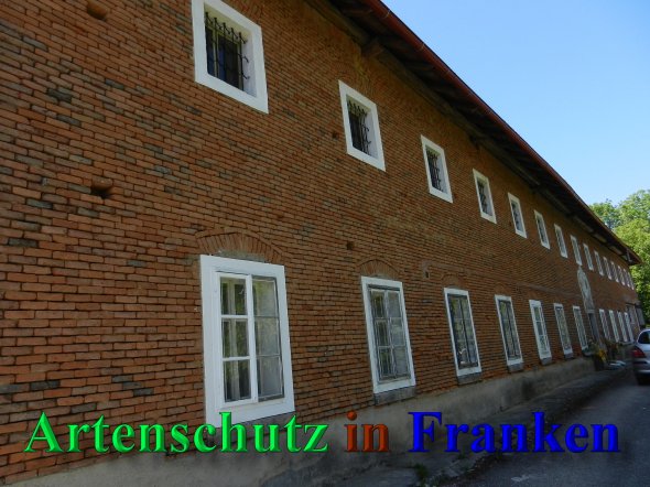 Copyright AiS - Mitterhuber Bild zum Eintrag (46941-160)