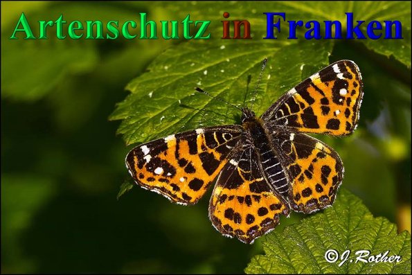 Copyright AiS - Johannes Rother Bild zum Eintrag (46986-160)