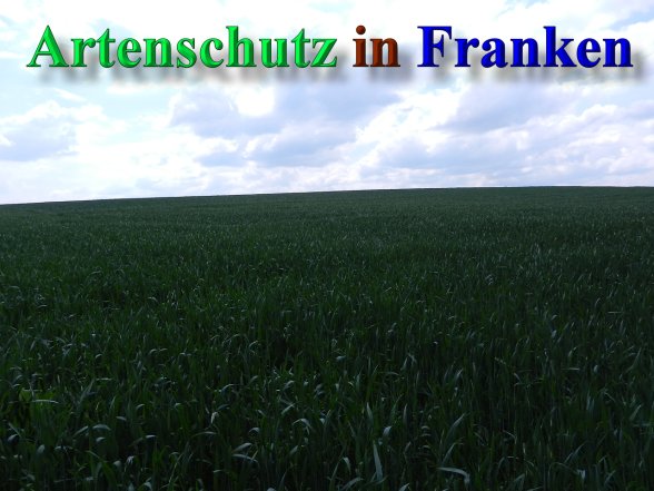 Copyright AiS - Mitterhuber Bild zum Eintrag (47000-160)