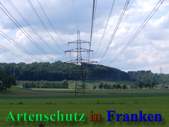 Copyright AiS - Mitterhuber Bild zum Eintrag (47002-160)