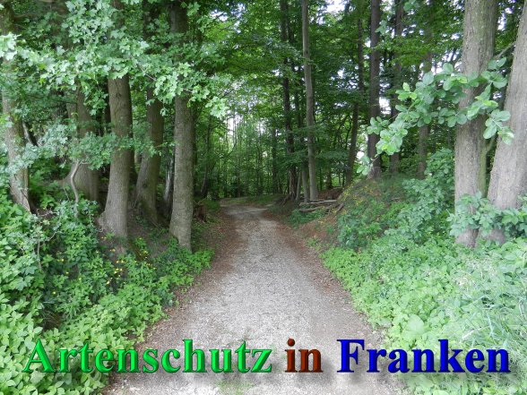 Copyright AiS - Mitterhuber Bild zum Eintrag (47003-160)