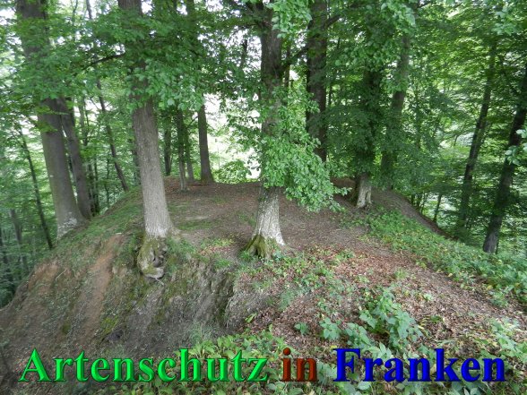 Copyright AiS - Mitterhuber Bild zum Eintrag (47004-160)
