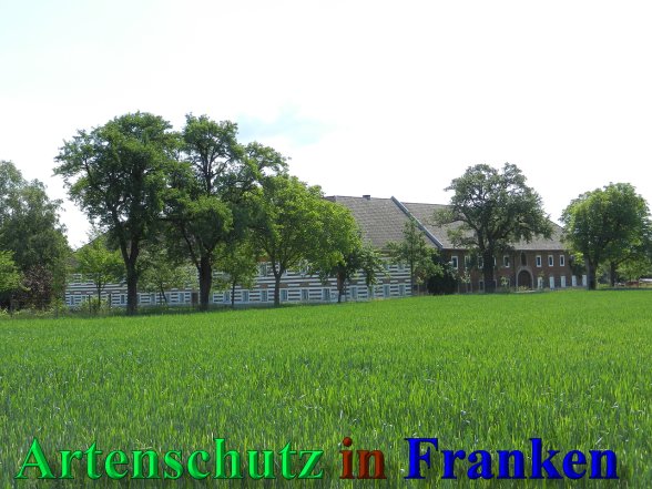 Copyright AiS - Mitterhuber Bild zum Eintrag (47005-160)