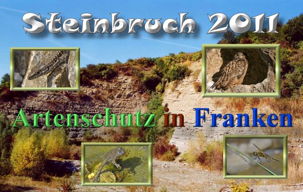 Copyright AiS Collage Bild zum Eintrag (47144-160)