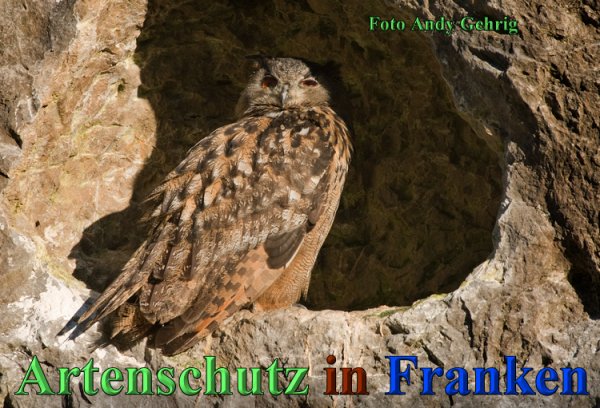 Copyright AiS - Andy Gehrig Bild zum Eintrag (47150-160)