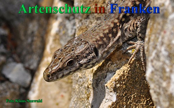 Copyright AiS - Klaus Sanwald Bild zum Eintrag (47157-160)