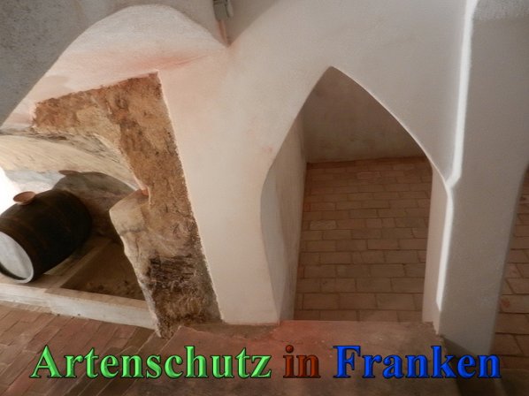 Copyright AiS - Mitterhuber Bild zum Eintrag (47179-160)