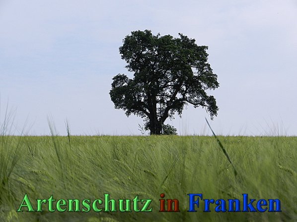 Copyright AiS - Mitterhuber Bild zum Eintrag (47180-160)