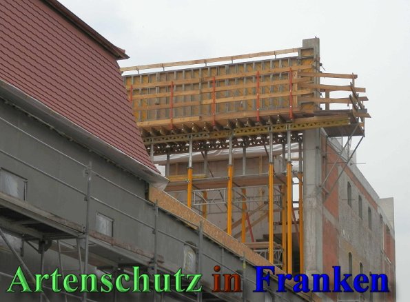 Copyright AiS- Albert Meier Bild zum Eintrag (47209-160)