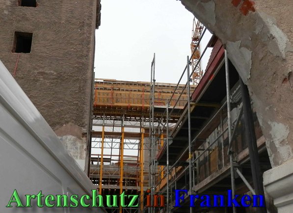 Copyright AiS- Albert Meier Bild zum Eintrag (47210-160)