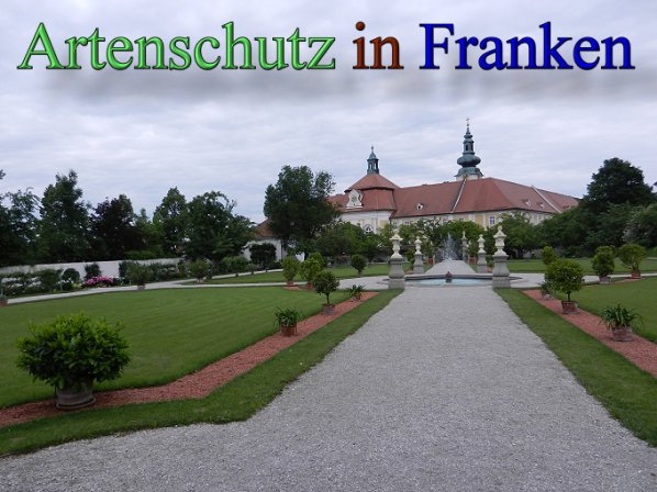 Copyright AiS - Mitterhuber Bild zum Eintrag (47327-160)