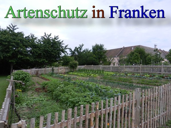 Copyright AiS - Mitterhuber Bild zum Eintrag (47330-160)