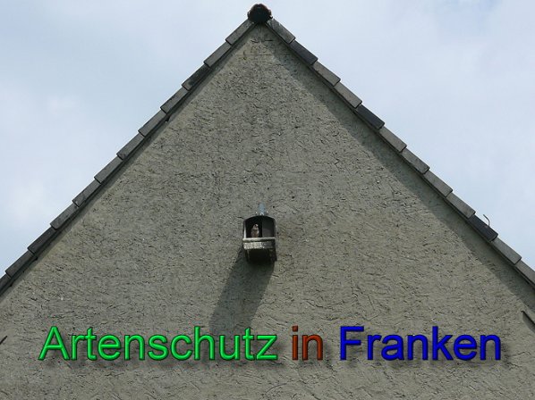 Bild zum Eintrag (47430-160)