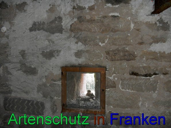 Bild zum Eintrag (47467-160)