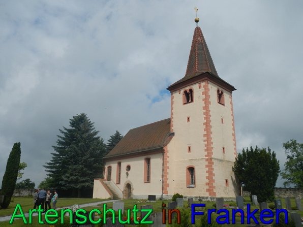 Bild zum Eintrag (47471-160)