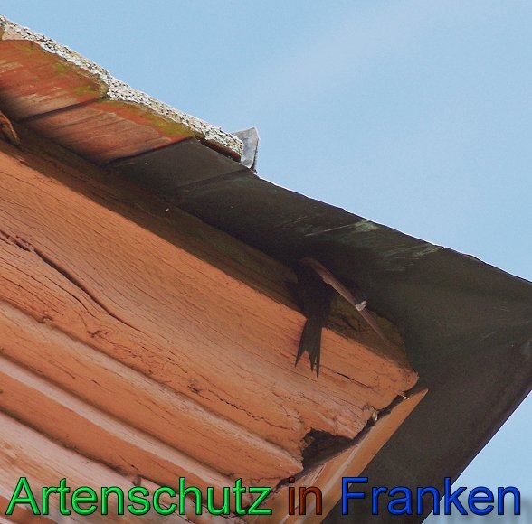 Copyright AiS Cornelia Meyer Bild zum Eintrag (47497-160)