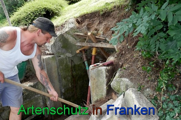 Copyright AiS- Albert Meier Bild zum Eintrag (47502-160)