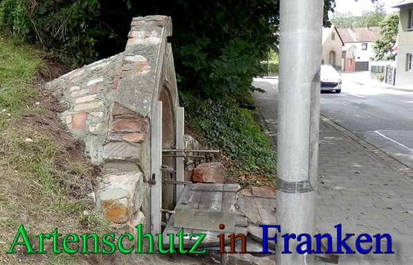 Copyright AiS- Albert Meier Bild zum Eintrag (47529-160)
