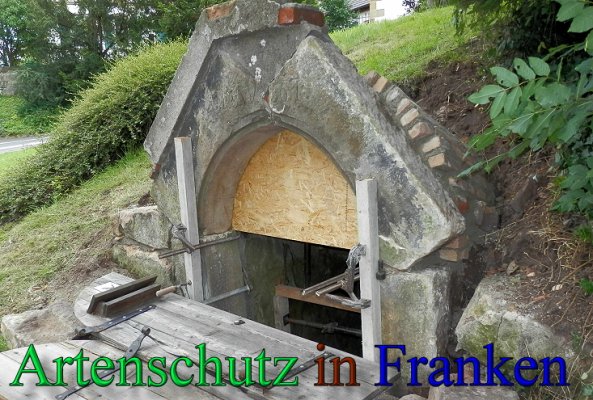 Copyright AiS- Albert Meier Bild zum Eintrag (47530-160)