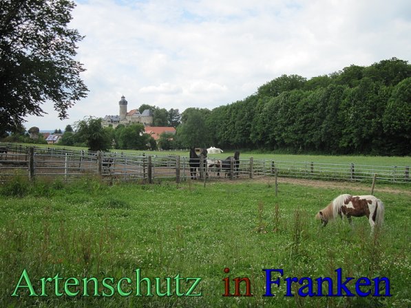 Bild zum Eintrag (47642-160)