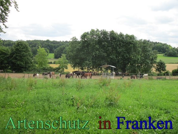 Bild zum Eintrag (47648-160)