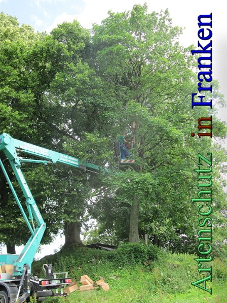 Bild zum Eintrag (47650-160)