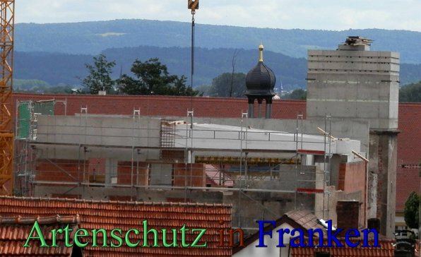 Copyright AiS- Albert Meier Bild zum Eintrag (47705-160)