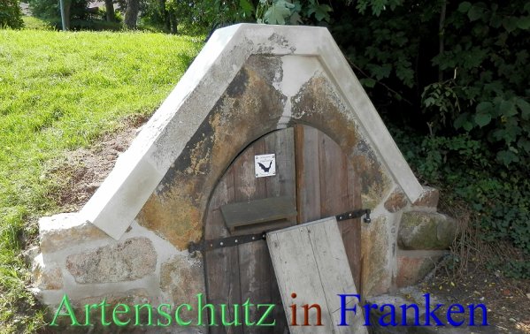 Copyright AiS- Albert Meier Bild zum Eintrag (47777-160)