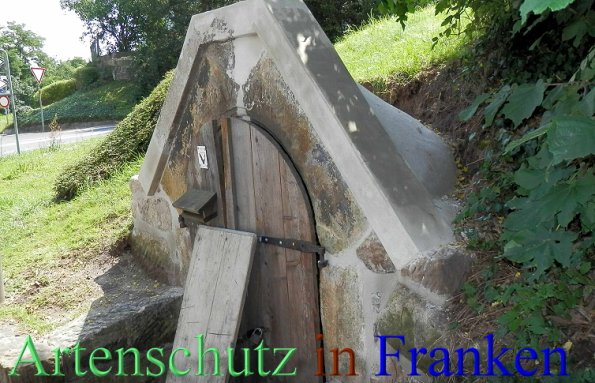 Copyright AiS- Albert Meier Bild zum Eintrag (47778-160)