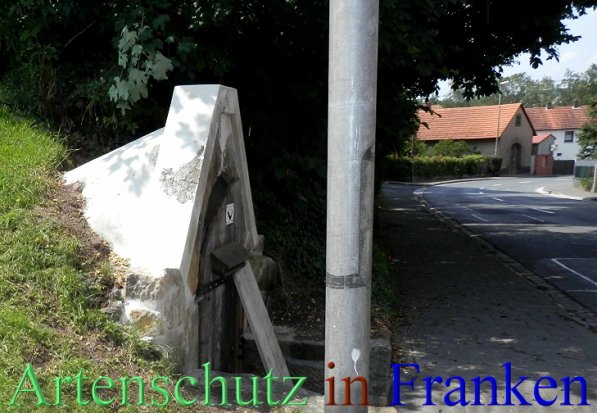Copyright AiS- Albert Meier Bild zum Eintrag (47779-160)