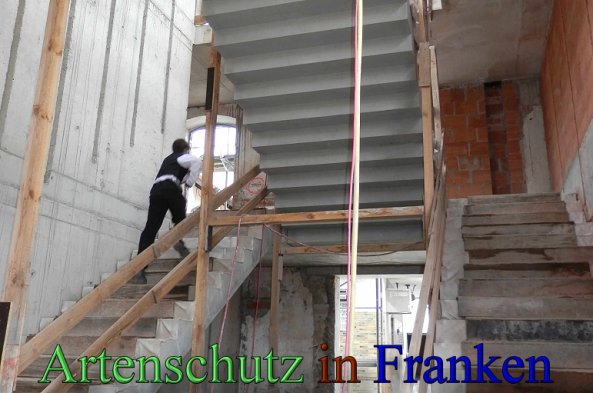 Copyright AiS- Albert Meier Bild zum Eintrag (48217-160)