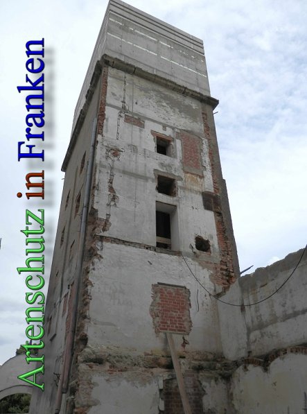 Copyright AiS- Albert Meier Bild zum Eintrag (48218-160)