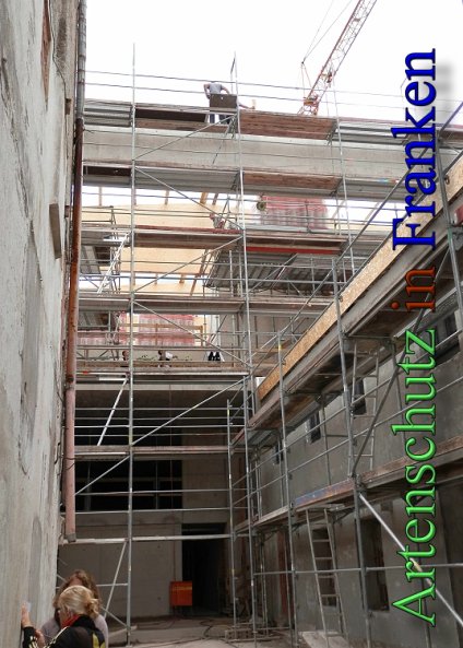 Copyright AiS- Albert Meier Bild zum Eintrag (48219-160)
